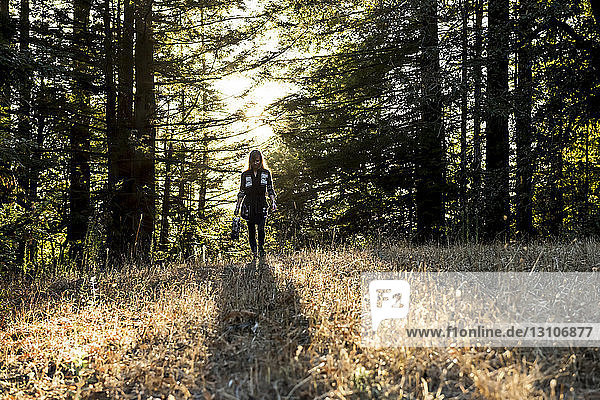 A woman walks across a field in a forest at dusk  Purisima Creek Redwoods; California  United States of America