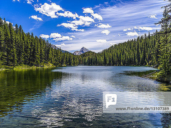 Spiegelungen in einem ruhigen  von einem dichten Wald gesäumten See  Jasper National Park; Jasper  Alberta  Kanada