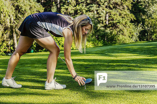 Eine Golferin legt einen Golfball auf ein Tee und macht sich mit ihrem Driver bereit zum Abschlag; Edmonton  Alberta  Kanada