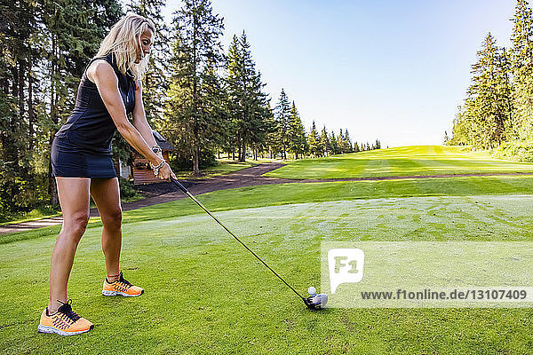 Eine Golferin richtet ihren Driver auf dem Abschlag mit Blick auf das Fairway in der Ferne auf den Golfball aus; Edmonton  Alberta  Kanada