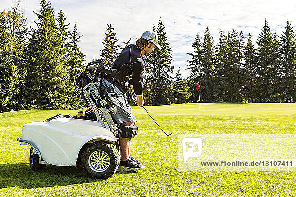 Ein körperlich behinderter Golfer  der einen Ball auf das Grün chippt und einen speziellen motorisierten Hydraulikrollstuhl zur Golfunterstützung benutzt; Edmonton  Alberta  Kanada