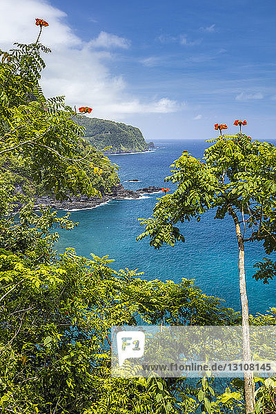 Coastal view of Maui's lush East side from the famous Road to Hana; Maui  Hawaii  United States of America