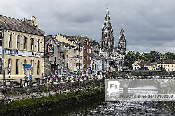 City of Cork and the River Lee with Saint Fin Barre's Cathedral in the background; Cork  County Cork  Ireland
