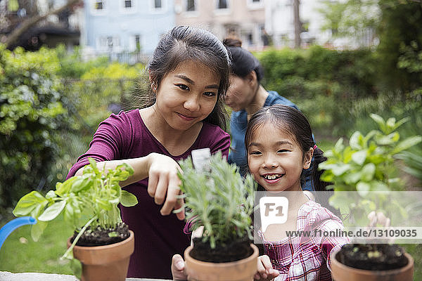 Sisters gardening with potted plants in yard