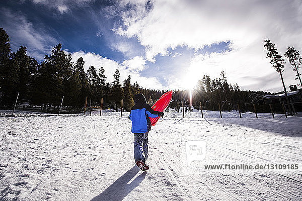 Rear view of boy walking on snow covered field while carrying sledge against cloudy sky