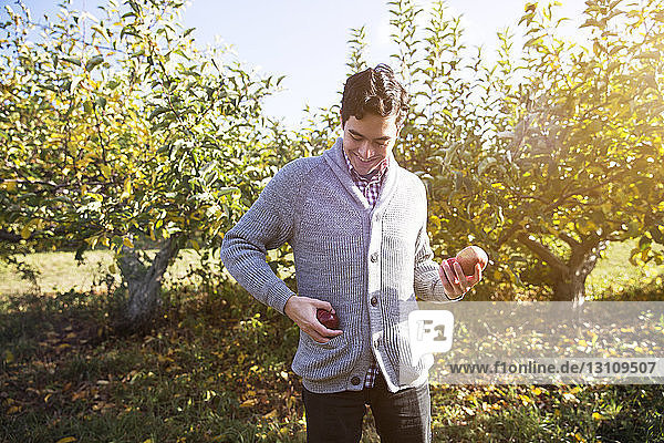 Lächelnder Mann mit Äpfeln im Obstgarten