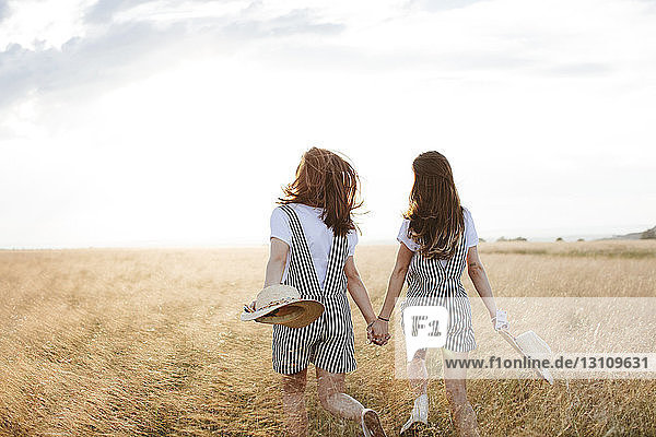 Rückansicht der glücklichen Zwillingsschwestern  die sich an den Händen halten  während sie bei Sonnenuntergang auf einem Grasfeld gegen den Himmel gehen