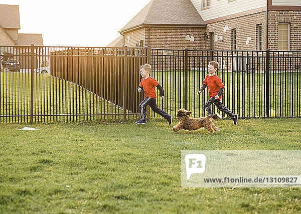 Verspielte Brüder rennen mit Hund gegen den Zaun im Hof