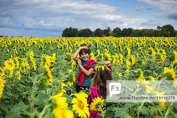 Geschwister spielen mit Sonnenblumen  während sie auf dem Bauernhof vor bewölktem Himmel stehen