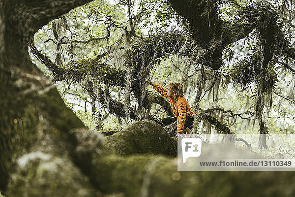 Junge Frau kauert auf moosbedecktem Ast im Regenwald