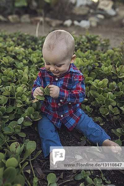 Süßer kleiner Junge spielt mit Blättern  während er inmitten von Pflanzen im Park sitzt