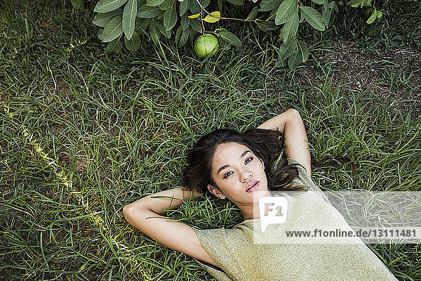 Overhead portrait of woman lying on grassy field in backyard