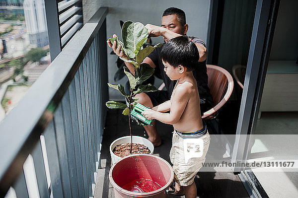 Hochwinkelansicht von Vater und Sohn bei der Pflanzung der Pflanze auf dem Balkon