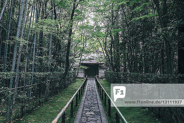 Spaziergang zwischen Bäumen beim Daitoku-ji-Tempel