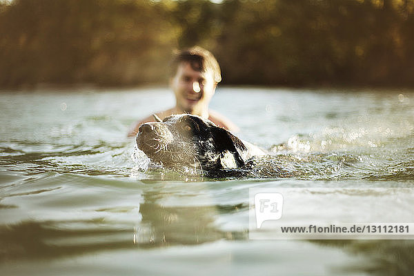 Dog swimming by man in river