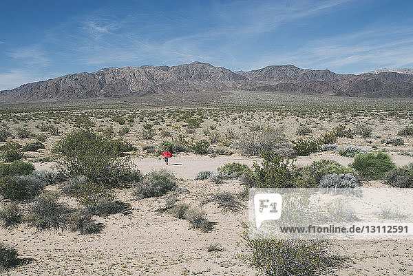 Mid distance view of boy with umbrella walking at Joshua Tree National Park