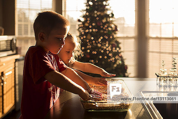 Geschwister bereiten zu Hause Essen gegen den Weihnachtsbaum zu