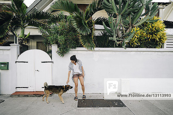 Frau mit Hund beim Spaziergang auf dem Bürgersteig