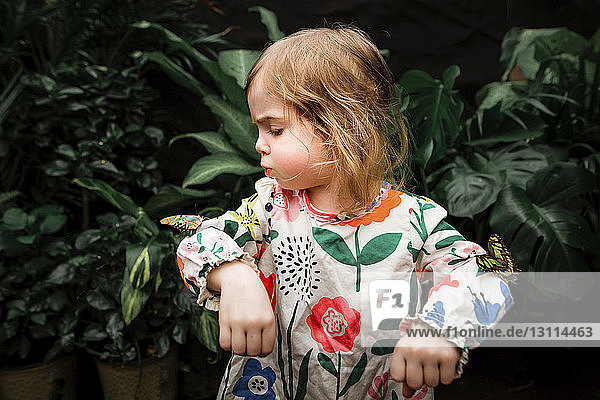 Süßes Baby-Mädchen bläst Schmetterling auf der Hand gegen Pflanzen