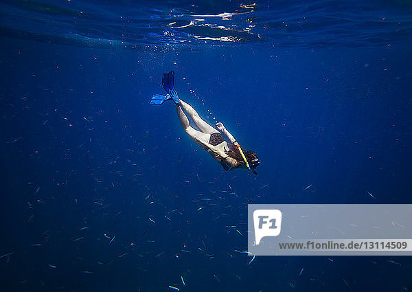 Junge Frau schnorchelt inmitten von Unterwasserfischen