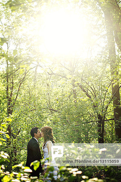 Seitenansicht eines sich im Wald küssenden Paares