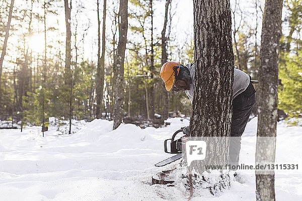 Holzfäller beim Fällen von Baumstämmen im Wald im Winter