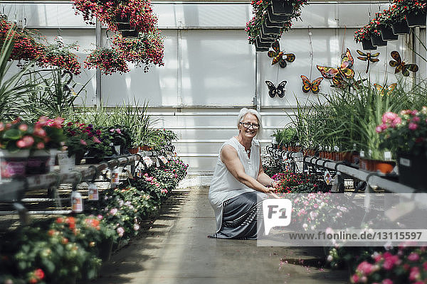 Portrait of mature woman crouching by plants at greenhouse