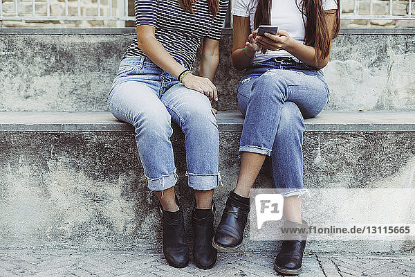 Low section of friends using mobile phone while sitting on steps