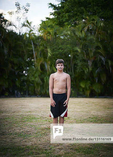Bildnis eines auf dem Feld stehenden Jungen ohne Hemd