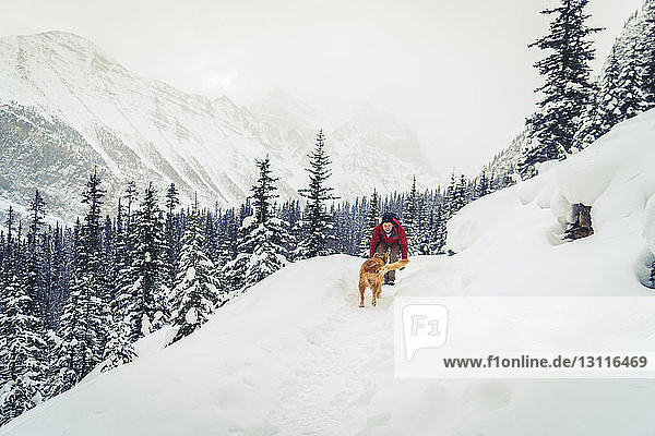 Wanderer mit Golden Retriever spielt auf schneebedecktem Feld im Wald