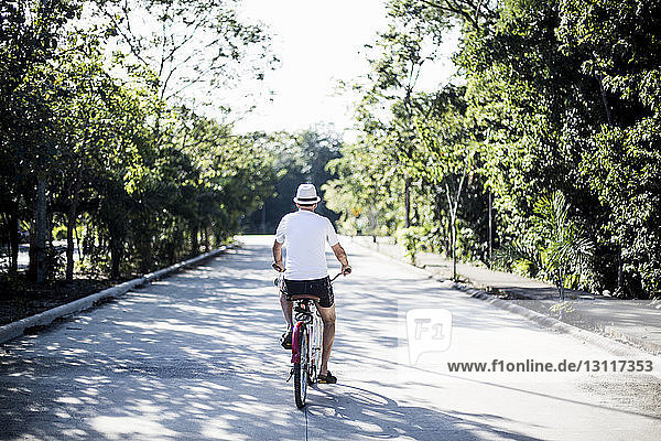 Rückansicht eines Mannes auf dem Fahrrad auf einem Fußweg inmitten von Bäumen gegen den Himmel