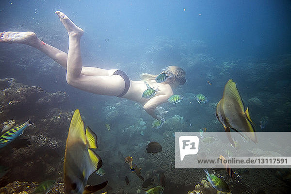 Im Meer schwimmende Frau