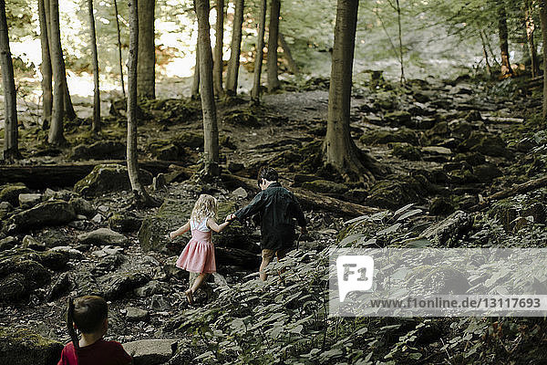 High angle view of siblings walking on rocks in forest