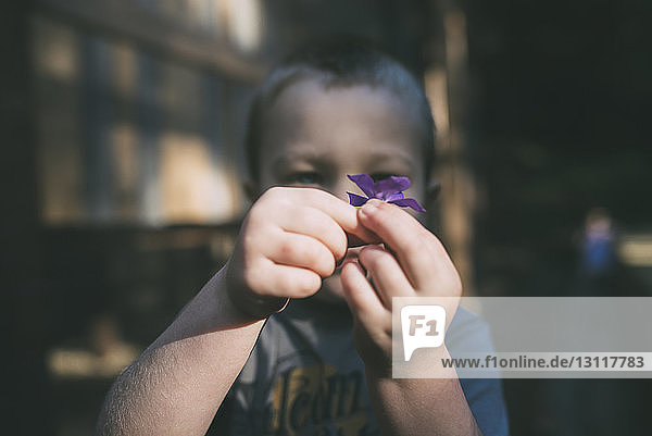 Junge hält violette Blume im Freien