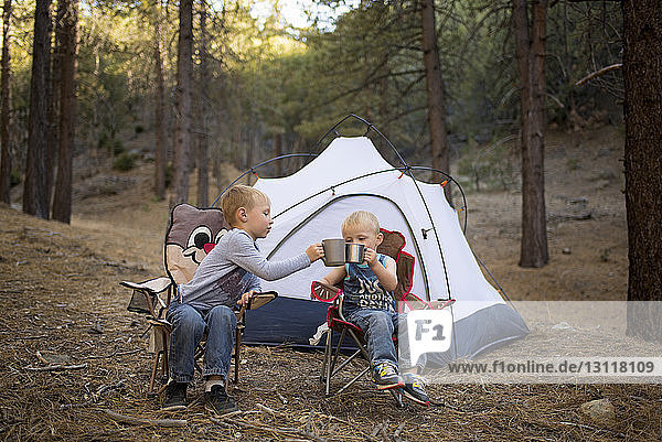 Siblings toasting mugs while sitting on chairs against tent in forest