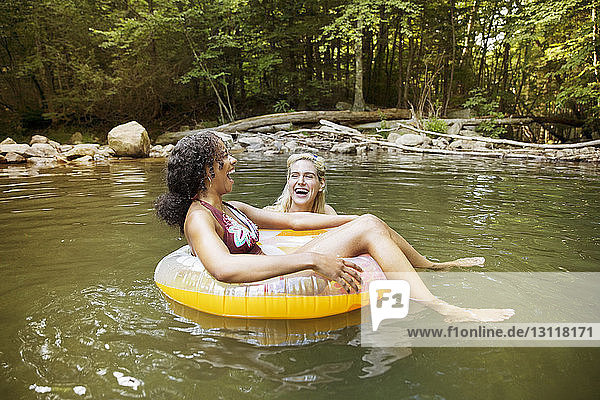 Cheerful female friends laughing using inner tubes in river