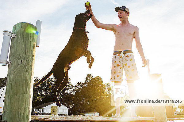 Junger Mann ohne Hemd spielt im Sommer mit Hund auf dem Pier