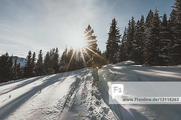 Frau steht bei Sonnenschein auf verschneitem Feld vor Nadelbäumen