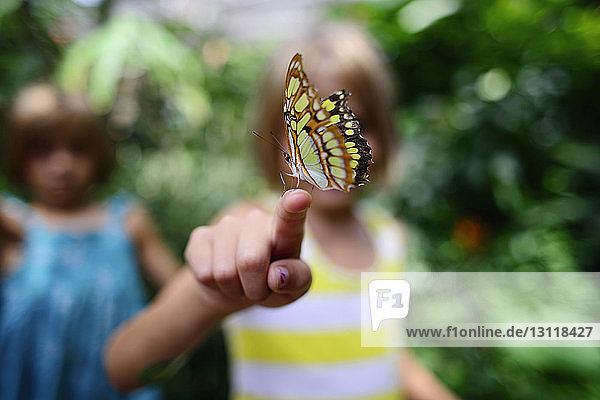Schmetterling am Finger eines Mädchens im Park