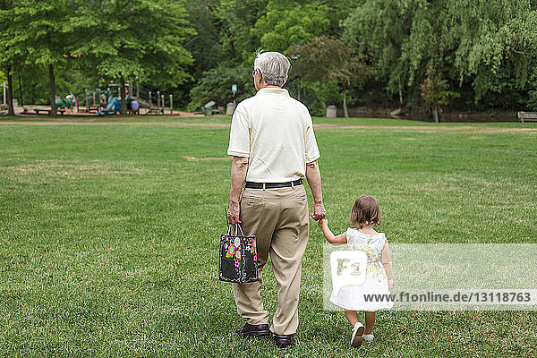 Rückansicht eines Grossvaters  der die Hände seiner Enkelin hält  während er auf einem Grasfeld im Park spazieren geht