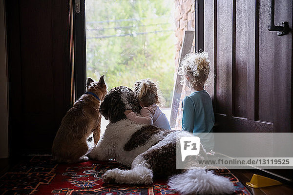 Rückansicht von Schwestern  die mit Hunden an der Tür sitzen