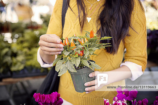 Midsection of woman holding potted plant at market
