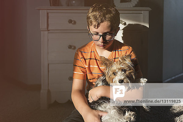 Junge hält Yorkshire Terrier  während er zu Hause sitzt