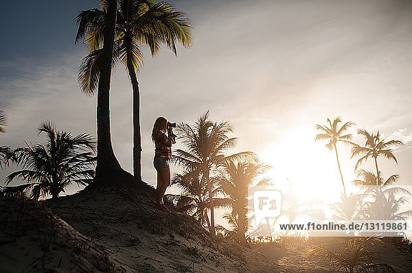 Frau fotografiert im Stehen an Palmen an einem sonnigen Tag