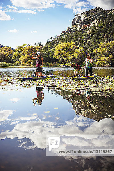 Freundinnen mit Hund paddeln auf einem See am Berg