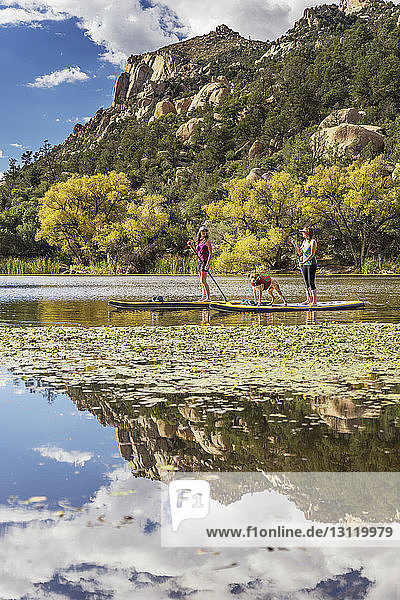 Female friends with dog paddleboarding in lake