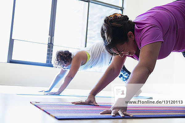 Female friends practicing downward facing dog position yoga in studio