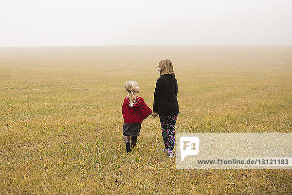 Rear view of siblings walking on field during foggy weather
