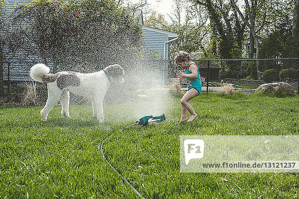 Side view of girl and dog standing by spraying water at yard