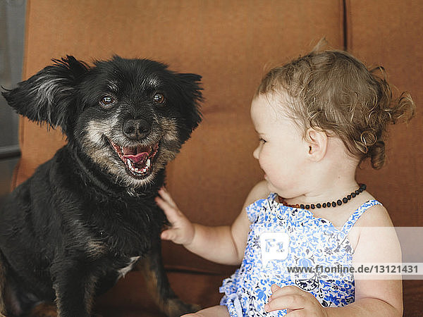 Nahaufnahme eines süßen kleinen Mädchens  das seinen Hund berührt  während es zu Hause sitzt